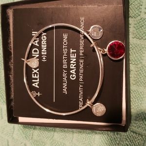 January Alex and Ani Bracelet
